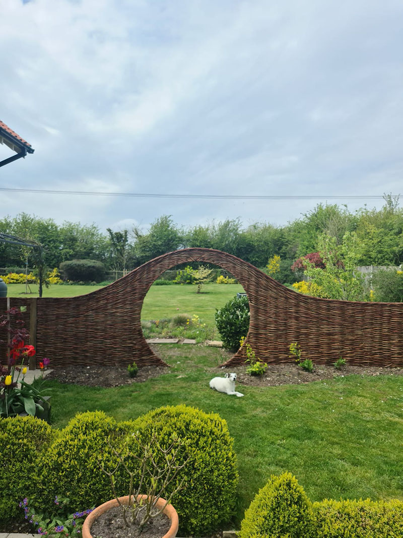 Willow portal arch in Norfolk garden