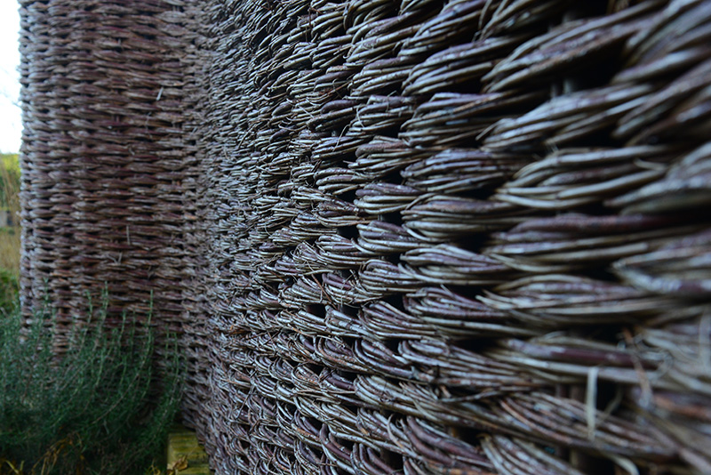 close up view of willow weave