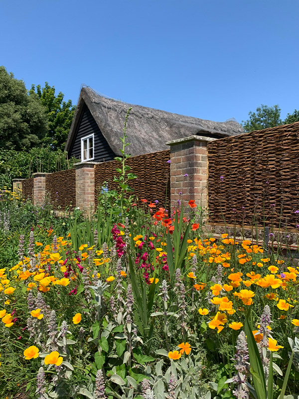 https://www.bramptonwillows.co.uk/wp-content/uploads/2023/01/garden-design.jpg