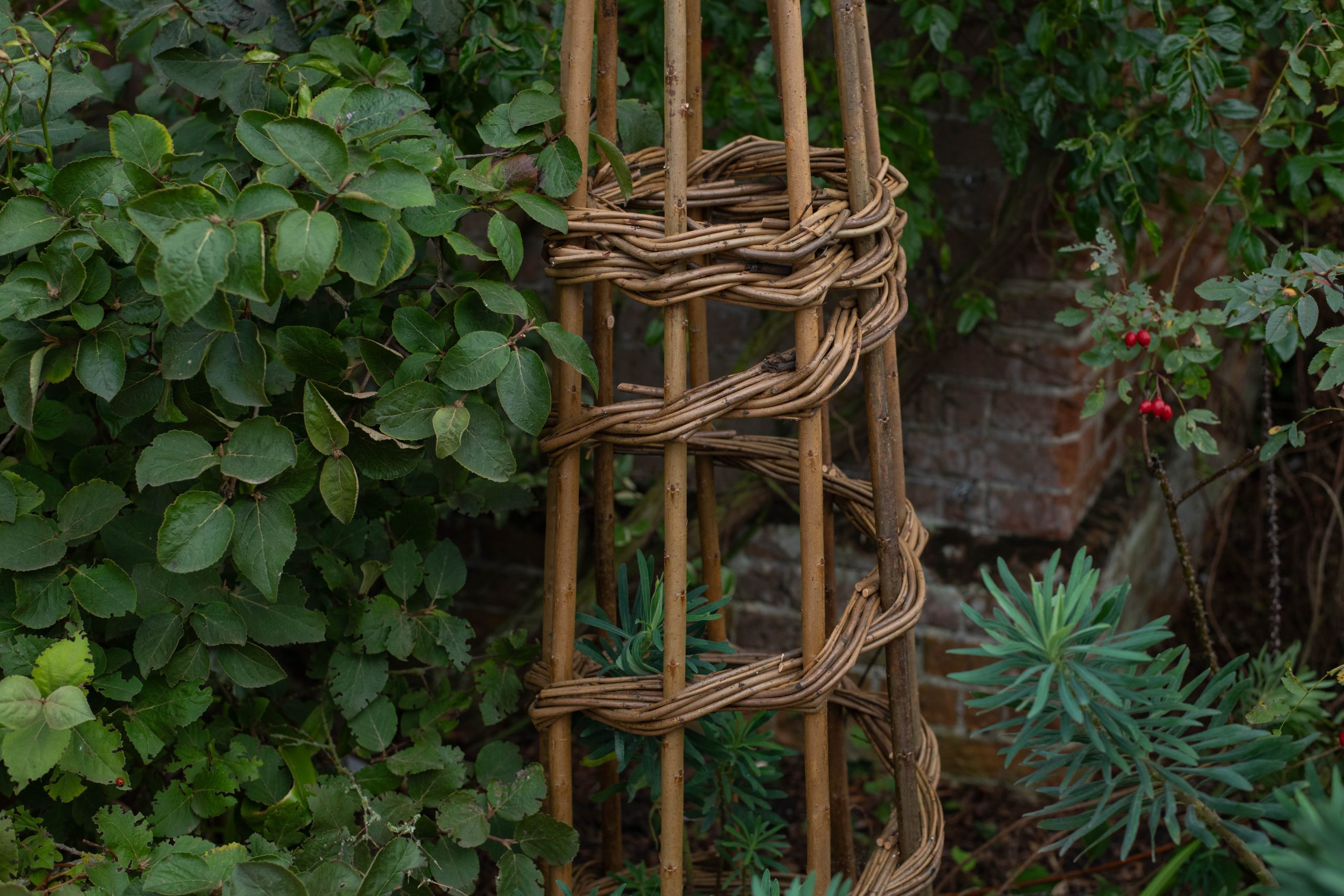 Obelisk Plant Supports - Image 3