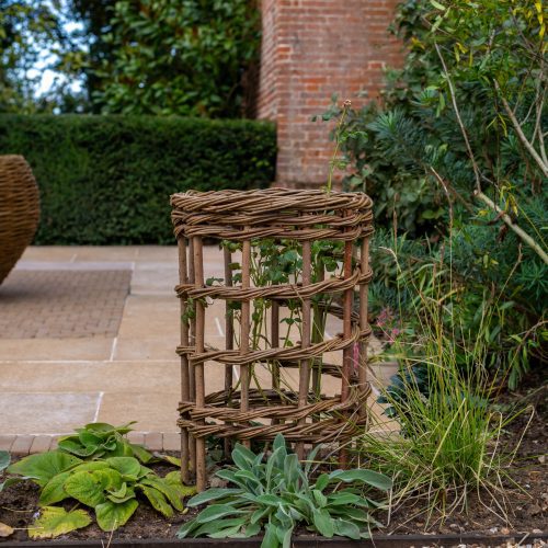 PlantSupport https://www.bramptonwillows.co.uk/wp-content/uploads/2025/09/PlantSupport-500x500.jpg